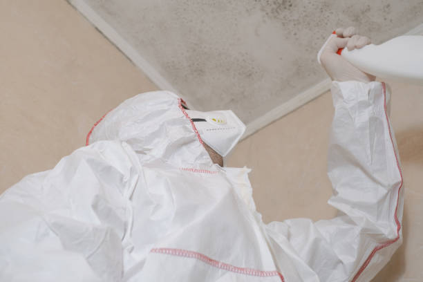 Best Certified Mold Removal  in Fort Valley, AZ